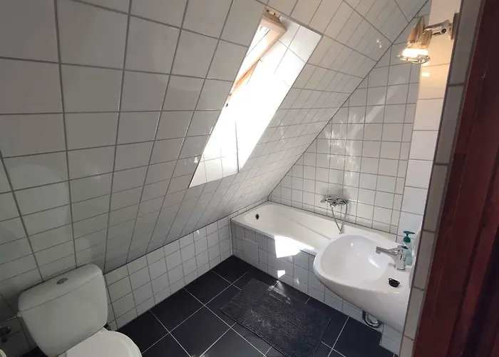 In - Balaton 19802 *